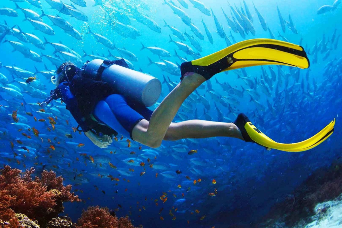 An Thoi Islands snorkeling